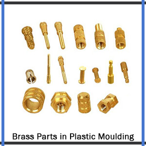 Brass Parts in Plastic Moulding