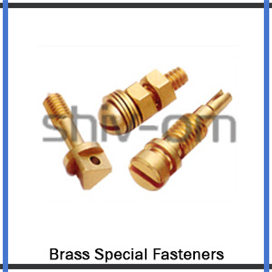 Brass Special Fasteners Exporter
