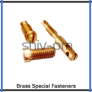 Brass Special Fasteners Supplier